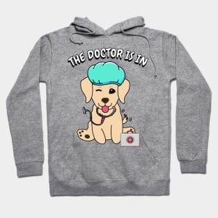 Cute retriever dog is a doctor Hoodie